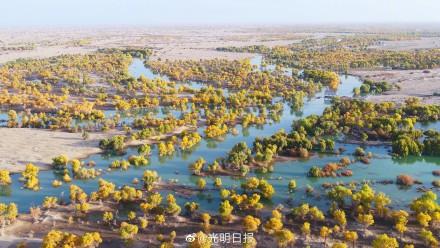 全球新增绿化面积四分之一来自中国