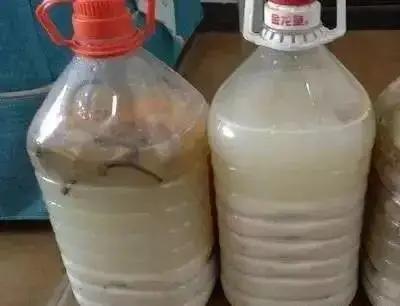浇花时，巧用“3种水”，枝叶油光发亮，花朵鲜艳更旺盛