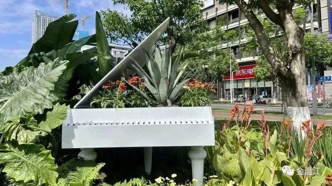 美！温江这个街区绿化升级大变样～