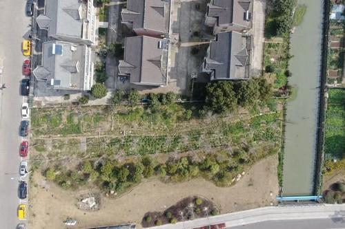 平湖市街头多处绿化容貌升级
