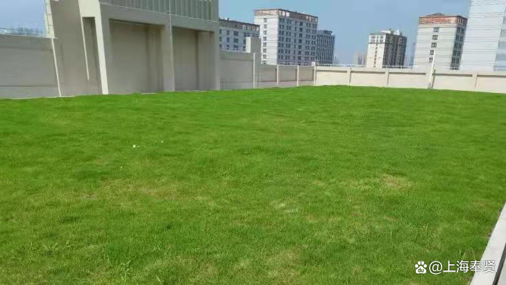立体绿化为建筑披绿衣，让森林城市更低碳
