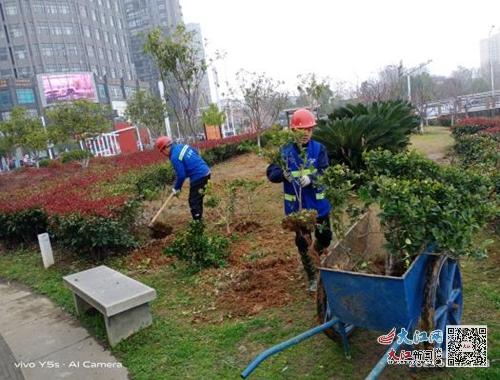 宜春市园林事务中心：满园春色美 绿化养护忙（图）