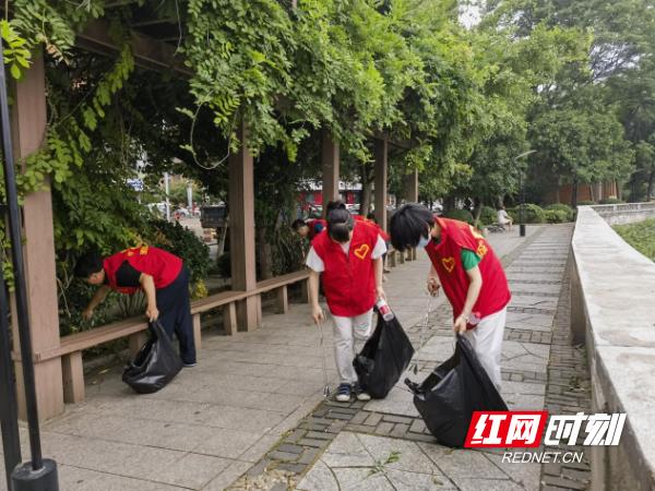 “地毯式”清理绿化带 还城市靓丽风景
