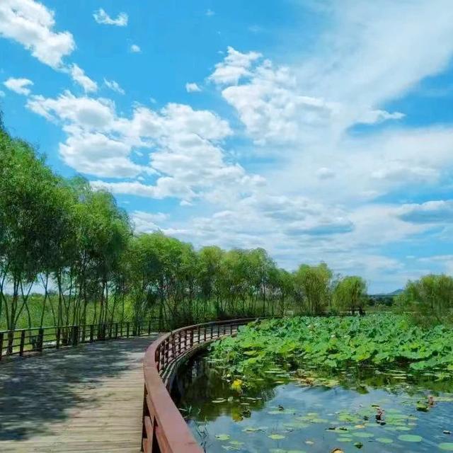 着力打通生态廊道 “通山连水”绘就美丽丰台