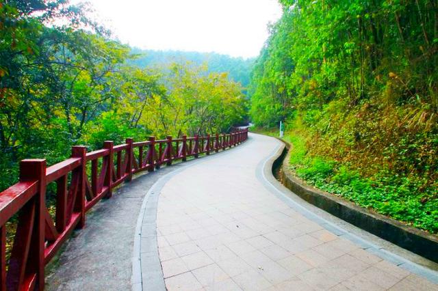 深圳凤凰山绿道