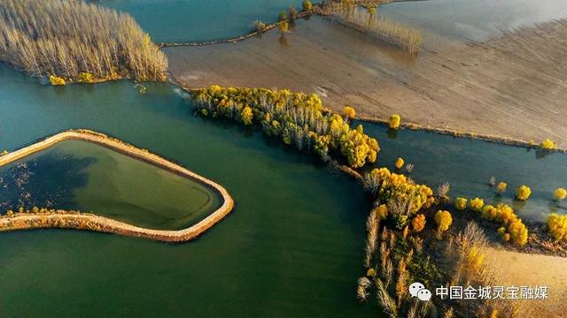 灵宝：黄河湿地风景如画