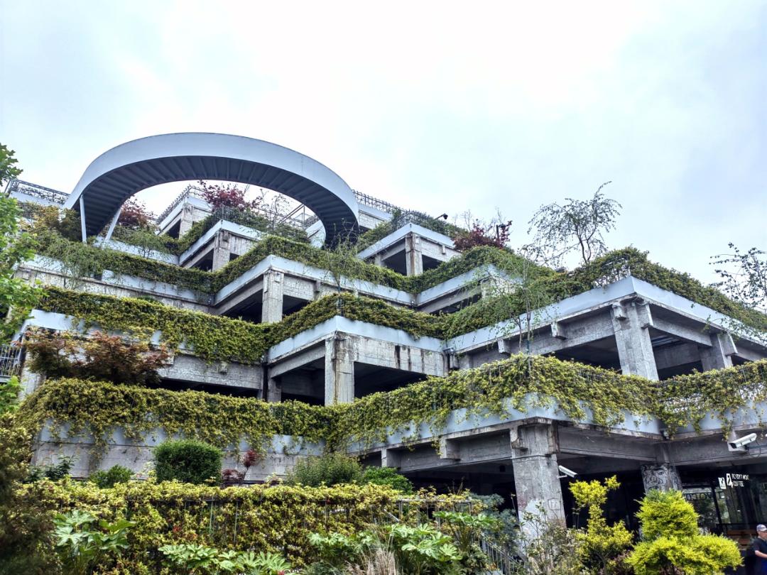 公园城市建设中的立体绿化，你知道哪些