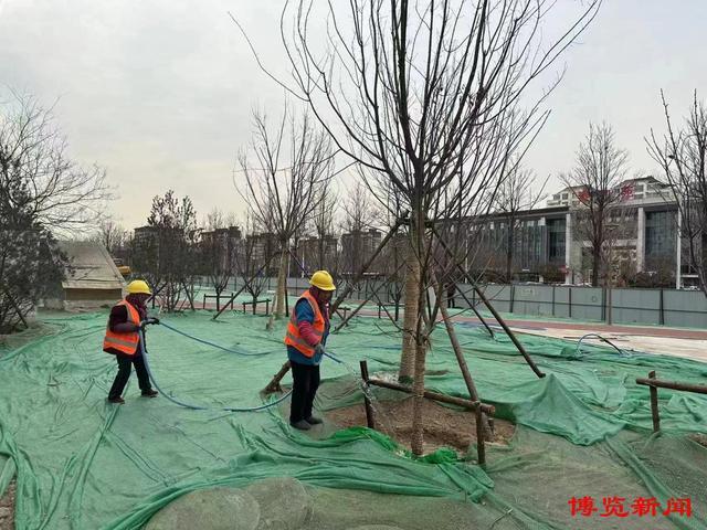 抢抓春季好时节 绿化提升正当时