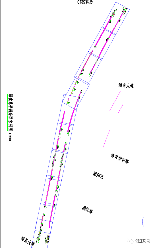 浦江这条路绿化带将要进行改造提升了…