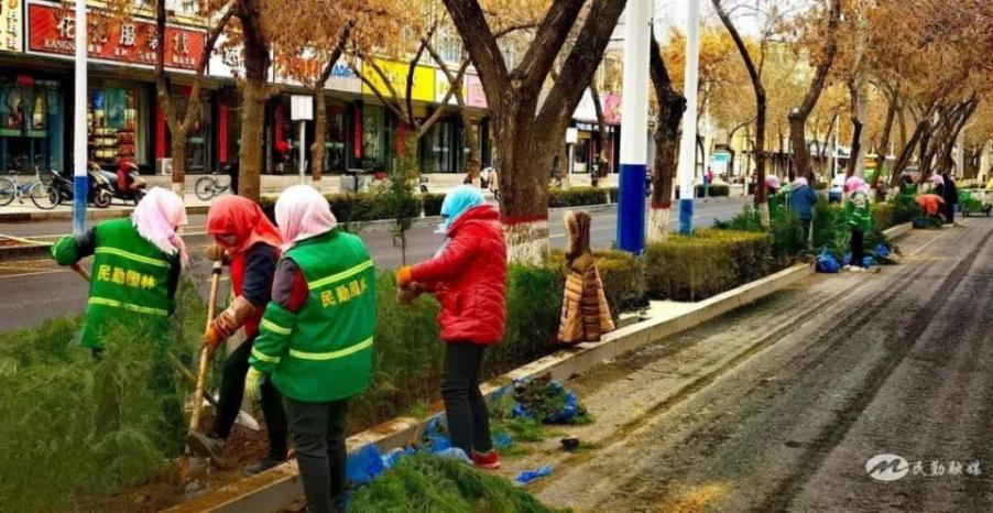 民勤县园林绿化管理中心：补植补栽增春色 城市绿化再提升