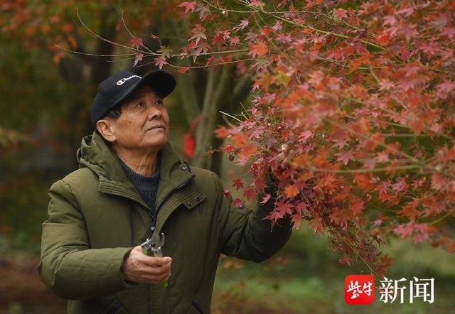 江苏最美基层共产党员丨郭中良：“绿化愚公”种树育人，20年造林3800亩资助40余名贫困生