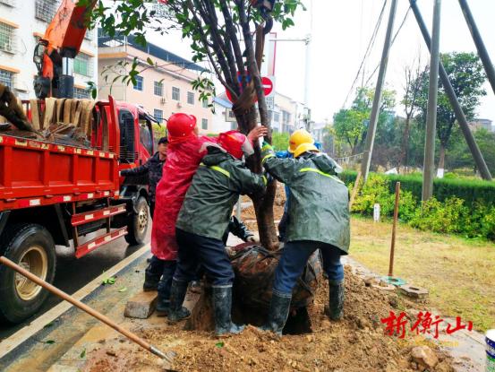 衡山：抢抓有利时机全面开展春季绿化补植工作