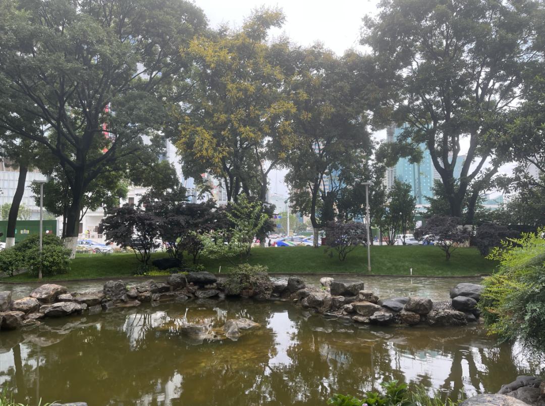昆明这一核心路段将成“颜值”新地标