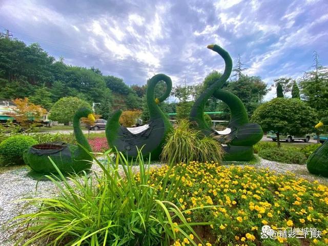 三门峡：13.7万盆鲜花装扮城市迎“双节”