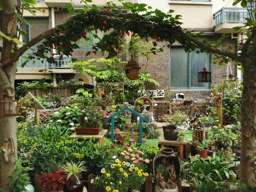 太赞了！小区绿化带变身景观小院，颜值UP↑