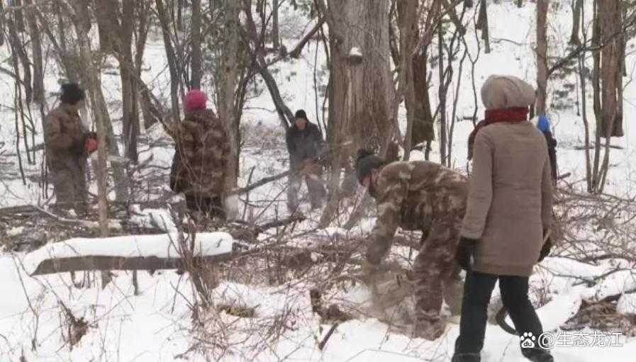 「生态立企」鹤北:满弓紧弦 跑出国土绿化加速度 「生态立企」鹤北:满弓紧弦 跑出国土绿化加速度