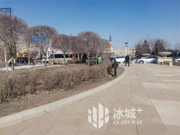 哈市将打造 10 条园林绿化示范街路
