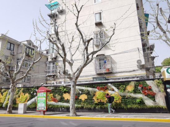 上海公园城市建设中的立体绿化，你知道哪些？