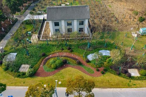 平湖市街头多处绿化容貌升级