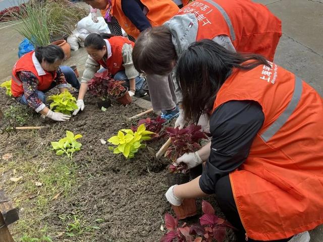 社区治理“景”上添“花”！宝山这个小区进行绿化带微更新