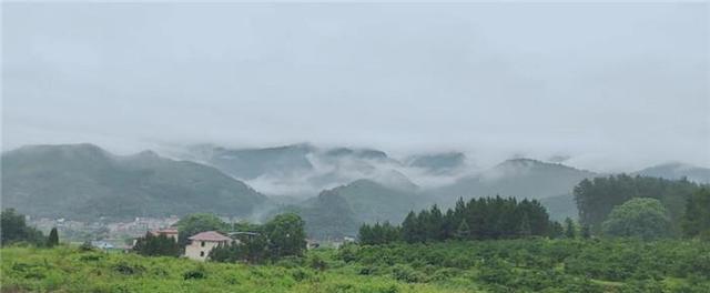 道县：强化国土绿化 夯实生态之基