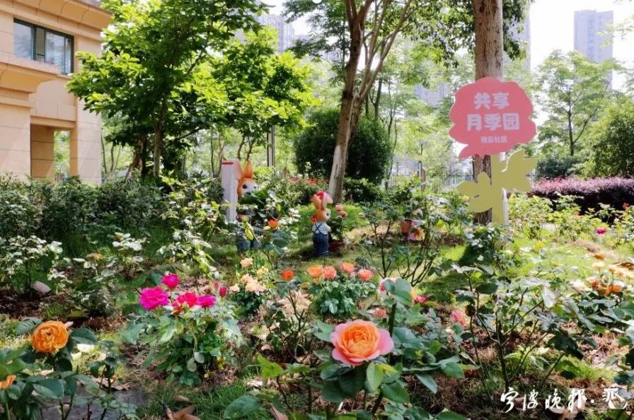 浙江有礼·宁波示范 | 一条共享景观带，掀起一股“微改”新风尚