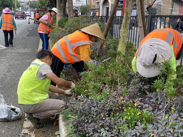 紫云县城管局：补植增绿提品质 城区绿化靓新颜