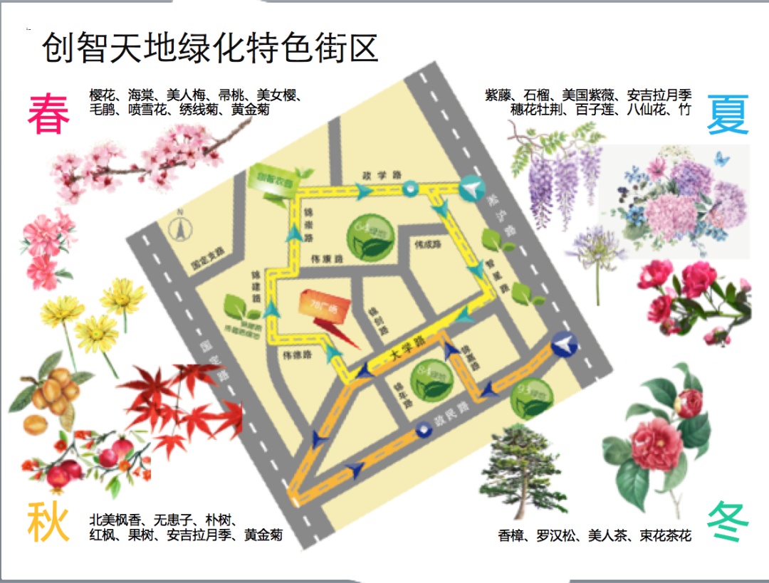 阿拉绿化市容人丨“一路一色、一园一品”——高国荣