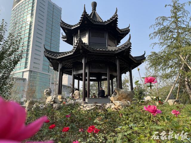 感受绿色脉搏体验健康生活 石家庄市裕东公园建成开放