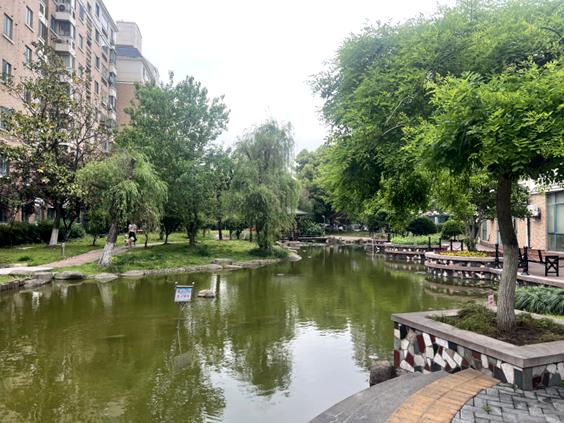 草地如地毯！上海万科物业加强绿化整治 打造美丽宜居小区