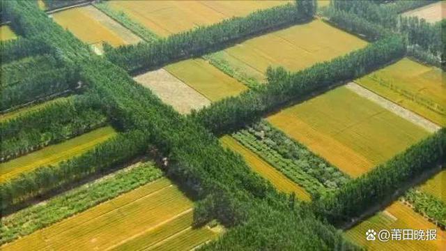 为祖国更添“莆田绿”！