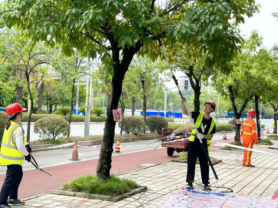 绿化技能大比拼！ 这里有一场园林绿化养护技能竞赛