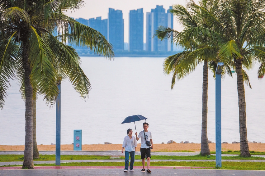 海口升级椰树绿化美化：处处椰影婆娑 不负椰城盛名