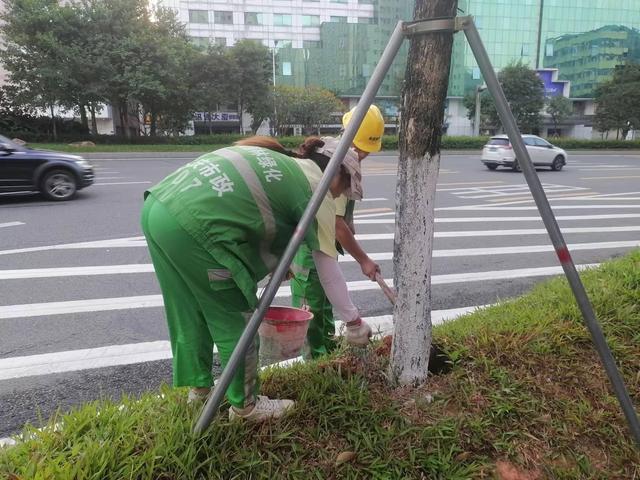 东莞：莞城园林精细化管理促城市品质再提升