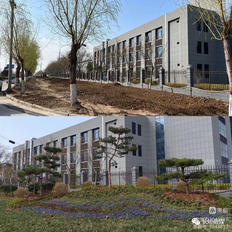 下足”绣花”功夫 彰显城管速度——市城市管理局高效推进巨人大道绿化改造提升工程