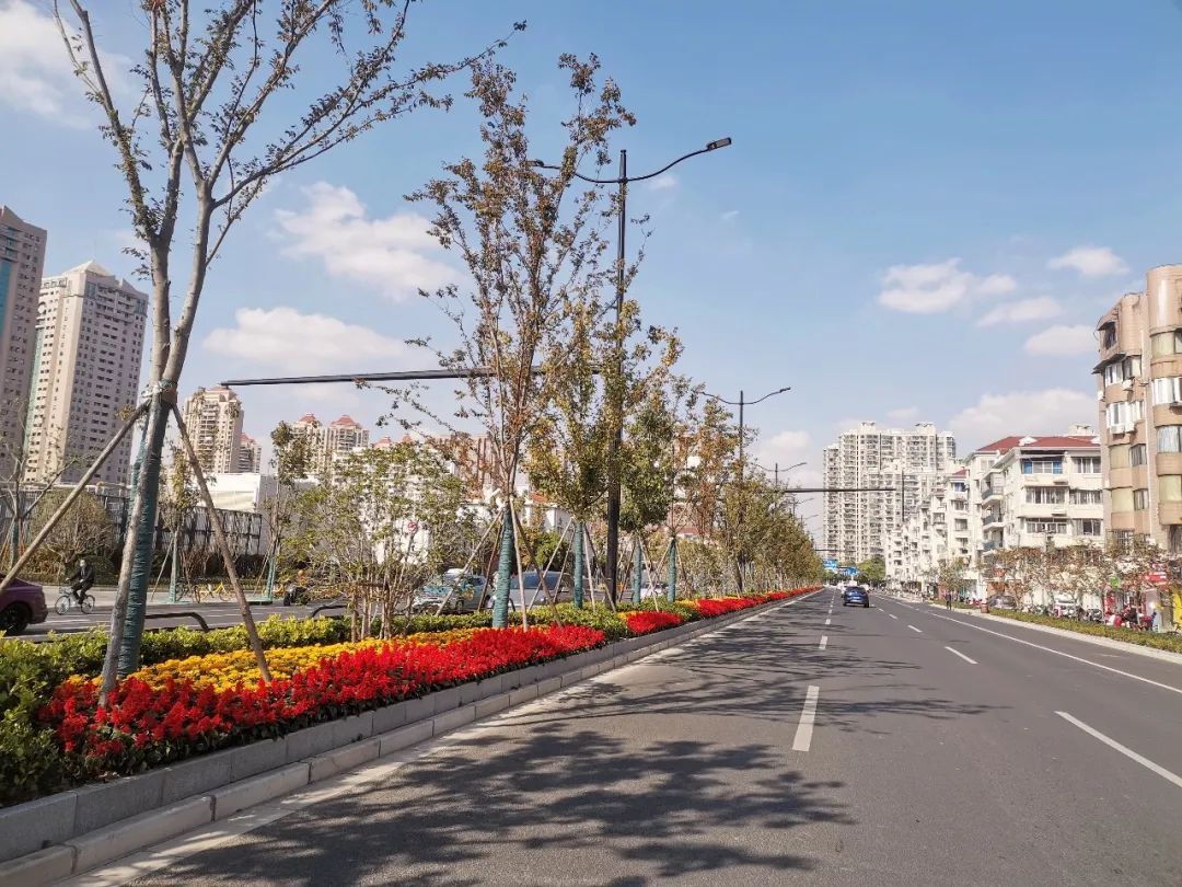 赞！长宁这三座地铁站周边的绿化景观焕新颜