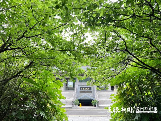 贵阳产控物业公司成功中标孔学堂绿化养护项目