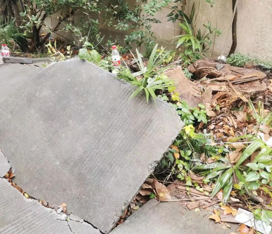 武夷路这里的绿化微景观改造完成