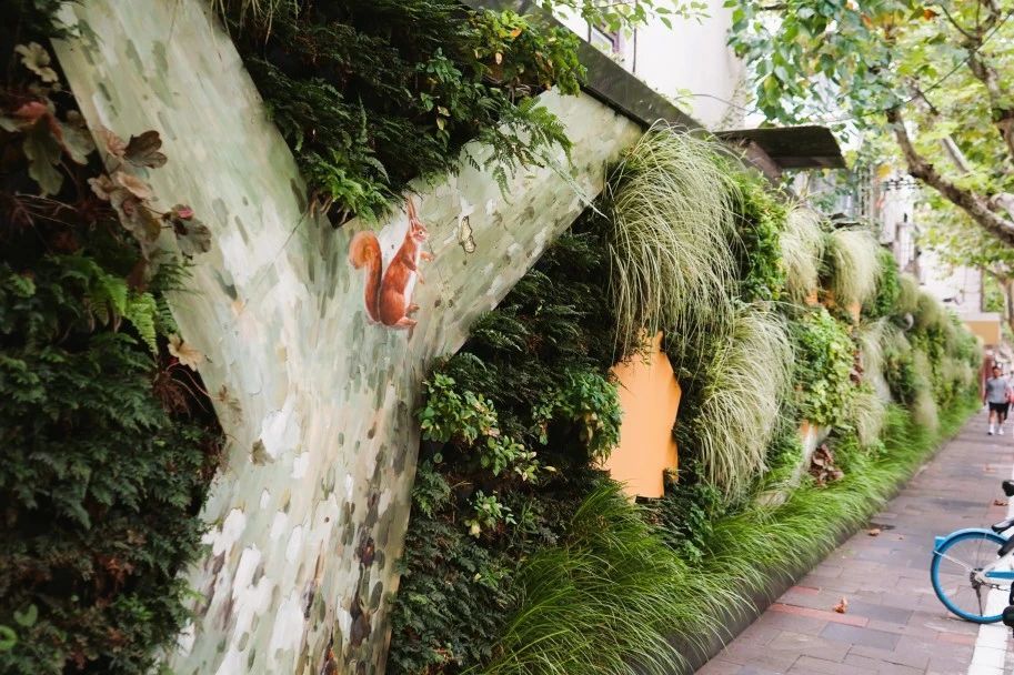 推进静安区立体绿化，在胶州路上赏“绿水青山”