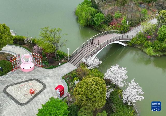 浙江宁波：植物园春花烂漫