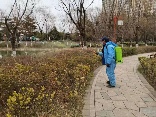 春季绿化养护，人民公园打药除虫正当时