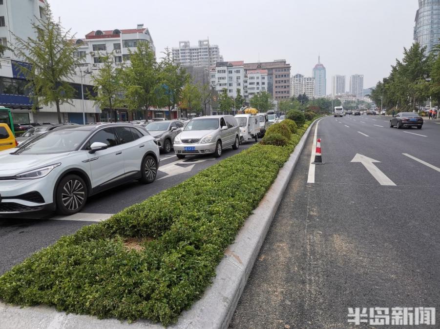 福州南路中央绿化带终于变绿了！