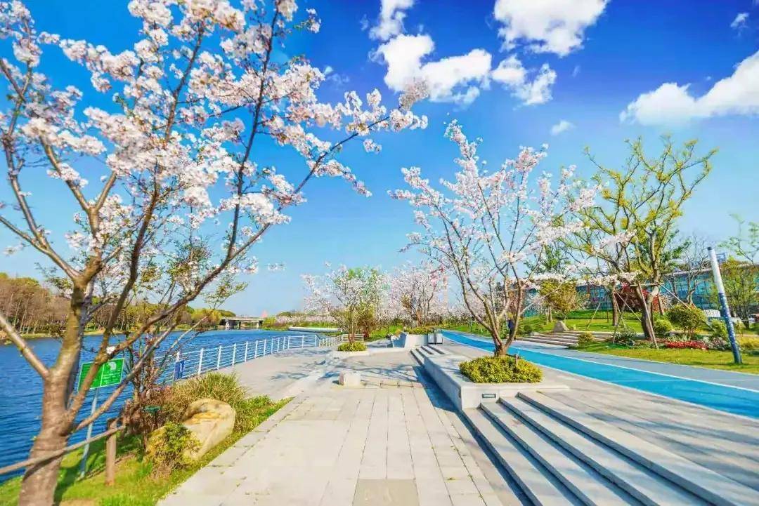 发力打造国家生态园林城市  无锡持续让青绿风景成生活日常