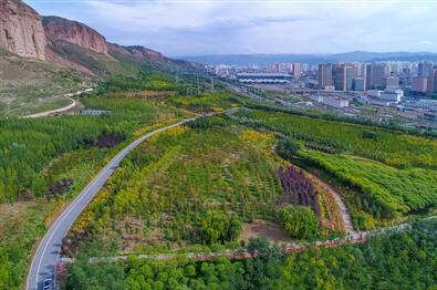 今年我省国土绿化面积达525.5万亩