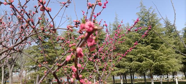 美丽的须水河滨河公园，红花绿柳，环境优美