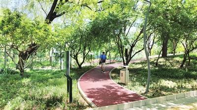 区园林绿化局以学促干连通绿道方便群众出行