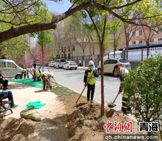 西宁城中：“见缝补绿”市民尽享绿色福祉