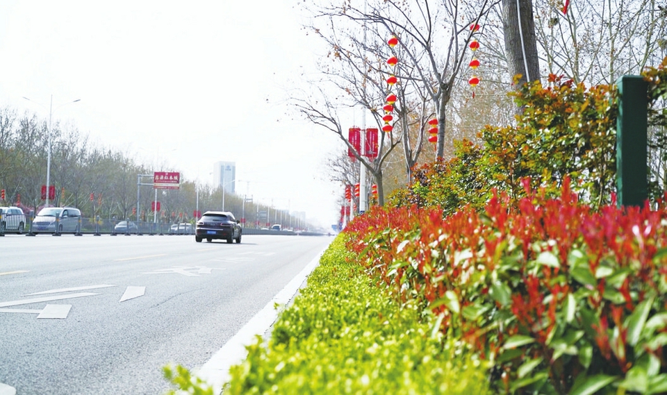 我市抢抓黄金期——补植增绿 共绘春画卷