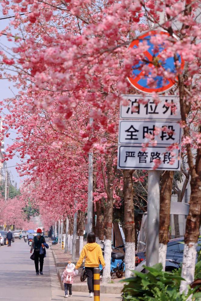 宜居 绿色 诗意，享嵩明