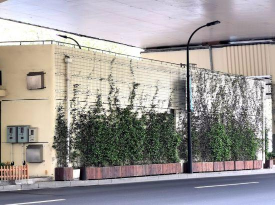 上海公园城市建设中的立体绿化，你知道哪些？